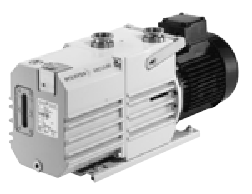 雙極旋轉(zhuǎn)葉片泵10